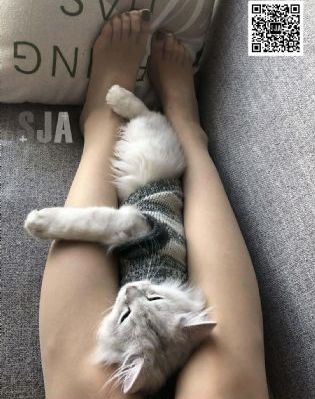 沉默的羔羊2在线观看完整版高清_1080影视在线观看